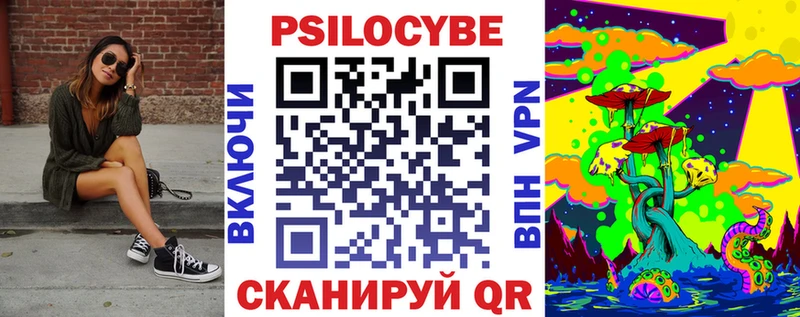 купить   Пересвет  Галлюциногенные грибы Psilocybe 
